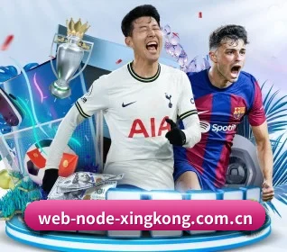 web-node-xingkong.com.cn APP